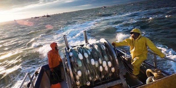 Un parti espagnol soutient la pêche dans les eaux marocaines 